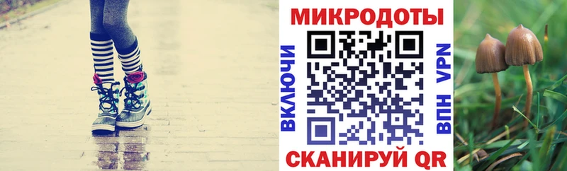 кракен   Спасск-Рязанский  Галлюциногенные грибы прущие грибы 